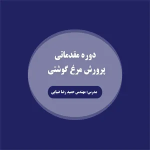 دوره مقدماتی پرورش مرغ گوشتی